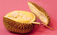 �и��ܳ�������
