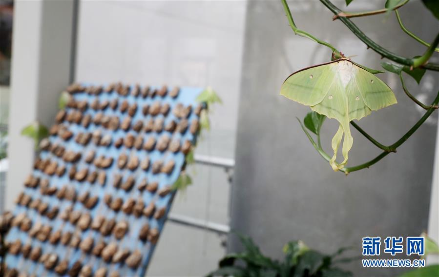 开云app入口下载