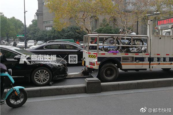 开云app网页app