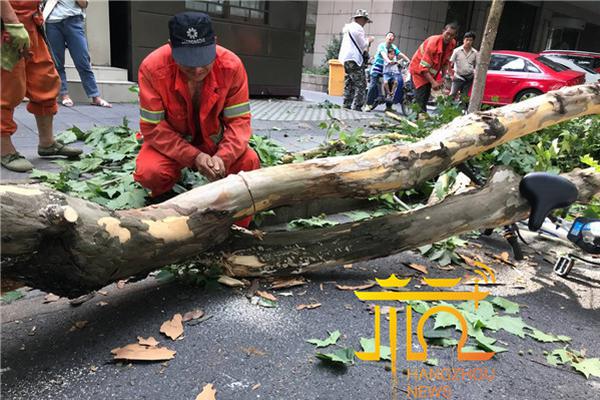 985娱乐下载相关推荐9