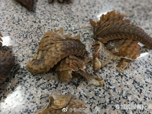 所有澳门电子游戏平台相关推荐10