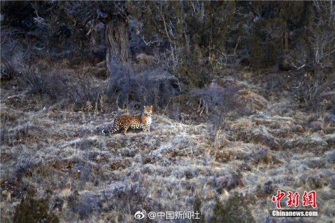 开云官方在线玩相关推荐8