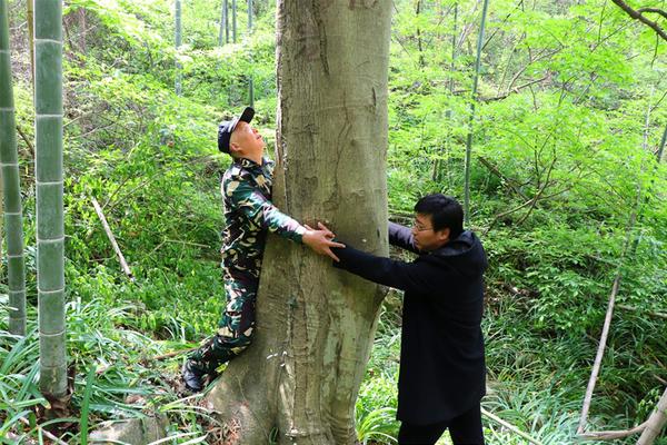 博亚体育app入口-官网下载相关推荐8