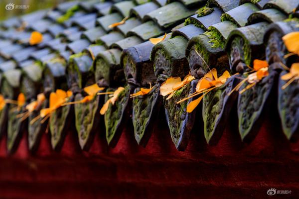 米6体育m6官网入口相关推荐5”