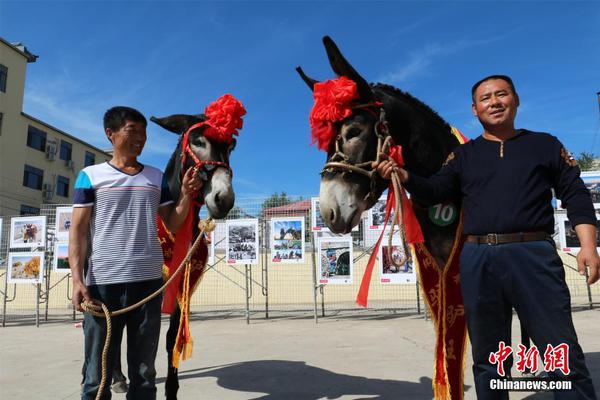 云开体育官网登录入口相关推荐9