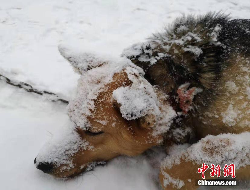 九游体育app官网下载相关推荐7