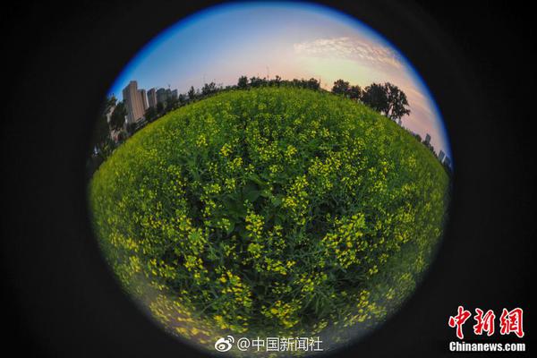 开云苹果版下载安装相关推荐1