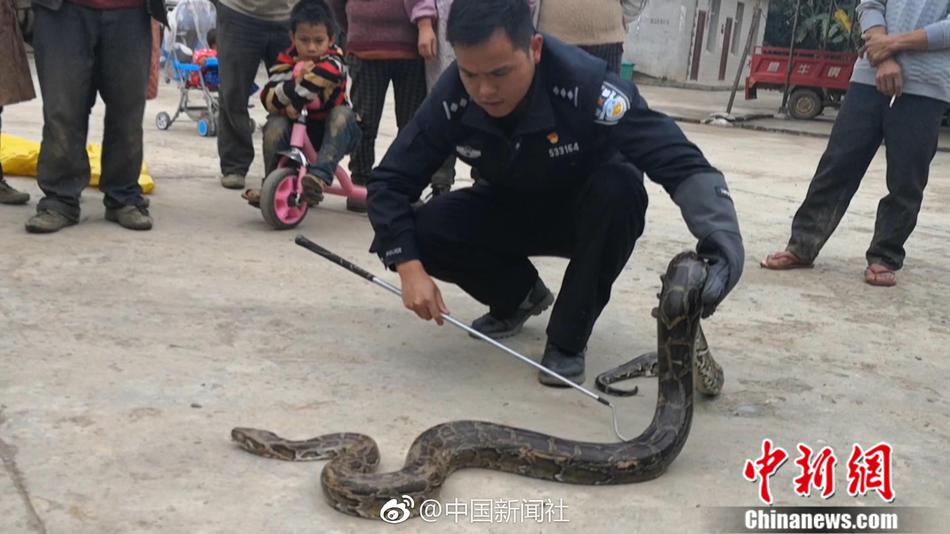 乐鱼官方在线登录相关推荐5”