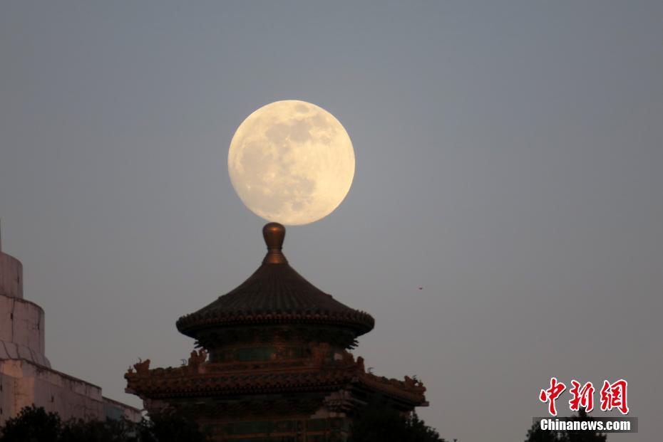开元官网下载appapp相关推荐6