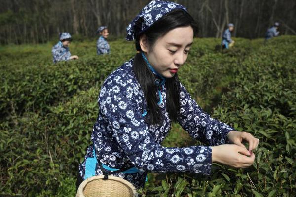半岛在线体育官网下载相关推荐1