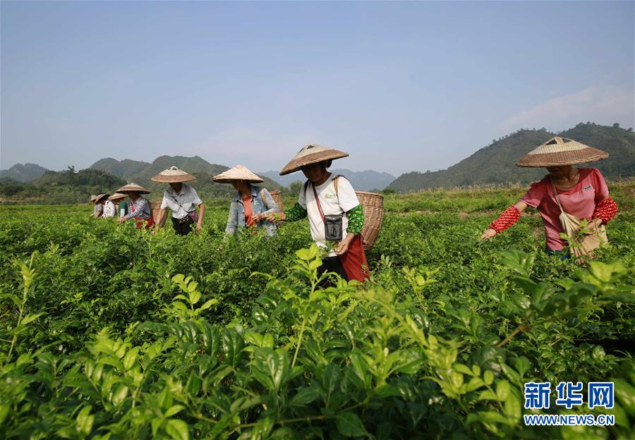 闻鼎娱乐下载相关推荐10