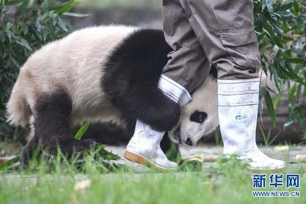 华体网下载官网入口相关推荐10