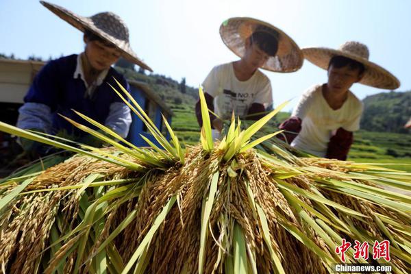 hth华体育app官网登录相关推荐3