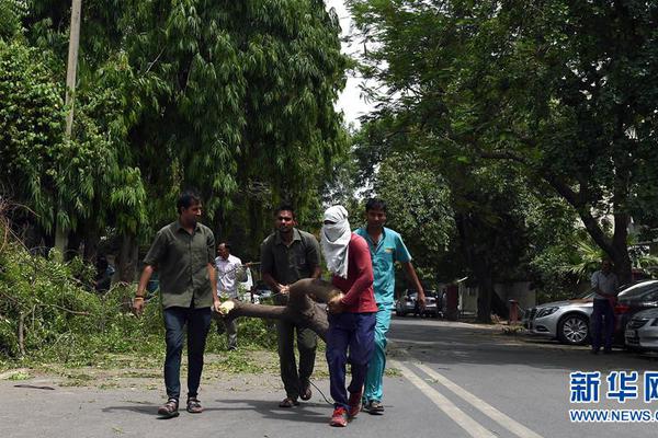 leyu乐鱼网页-leyu乐鱼网页