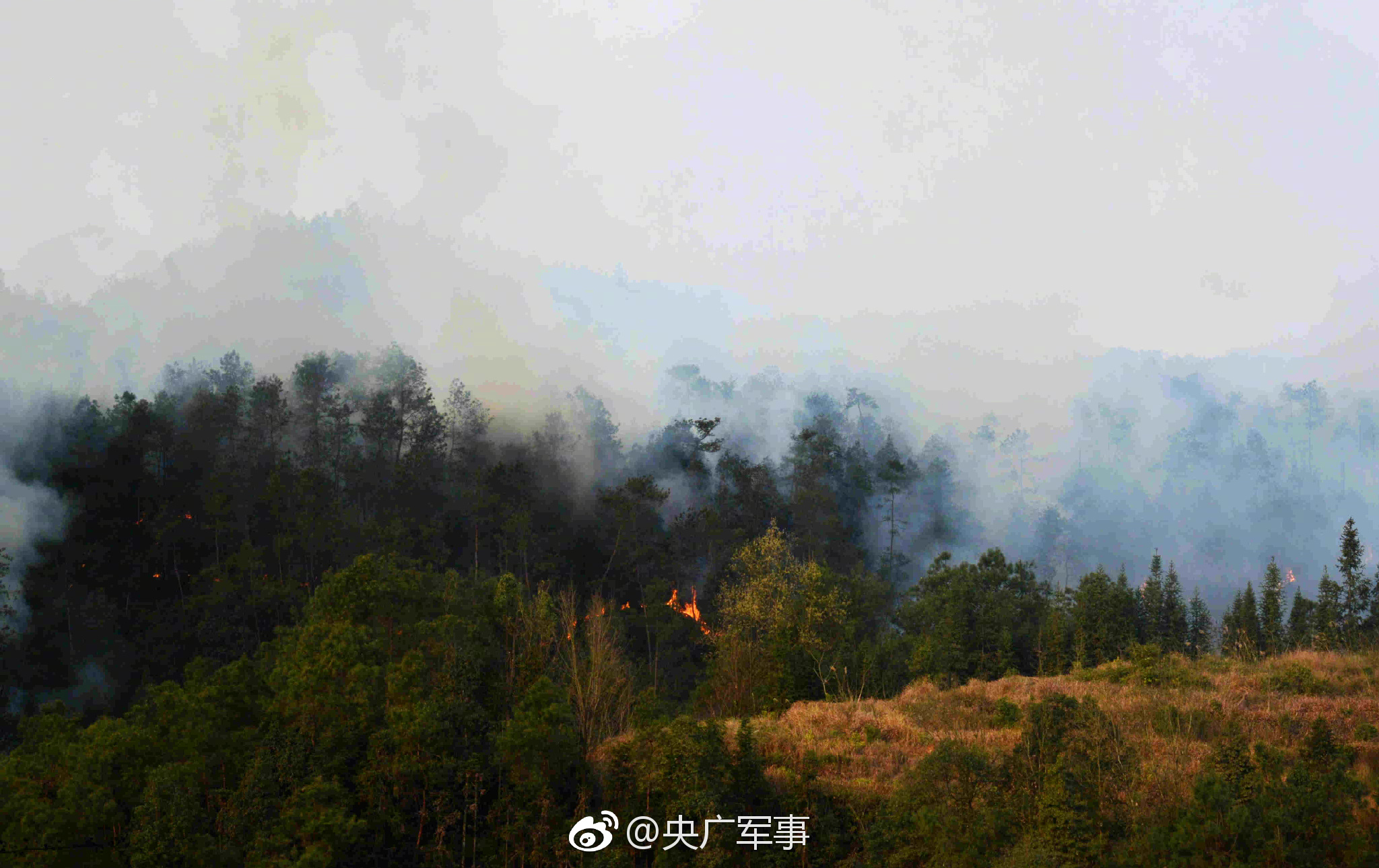 威尼斯澳门人官方网址相关推荐9